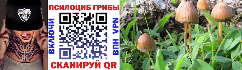 Псилоцибиновые грибы ЛСД Дрезна